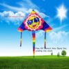 Smiling in the Sky Kite with Free Flying String - Durable Polyester, Mixed Colors, Perfect for Outdoor Fun - Image 2